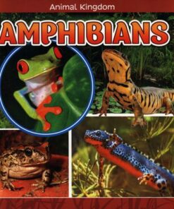Amphibians - Emma Carlson Berne
