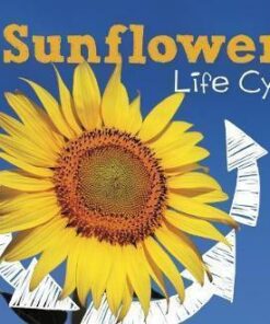 A Sunflower's Life Cycle - Mary R. Dunn