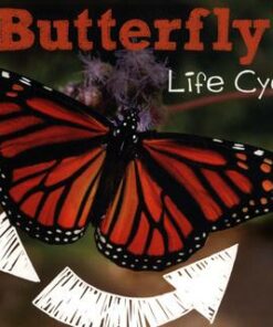 A Butterfly's Life Cycle - Mary R. Dunn