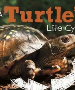 A Turtle's Life Cycle - Mary R. Dunn