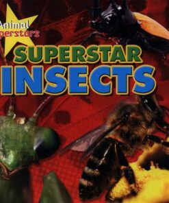 Insect Superstars - Louise Spilsbury
