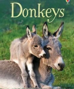 Beginners Donkeys - James Maclaine