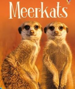 Meerkats - James Maclaine