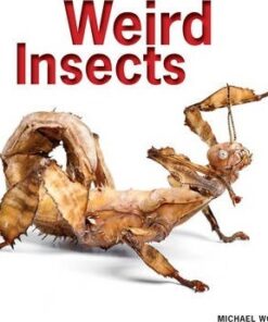 Weird Insects - Michael Worek