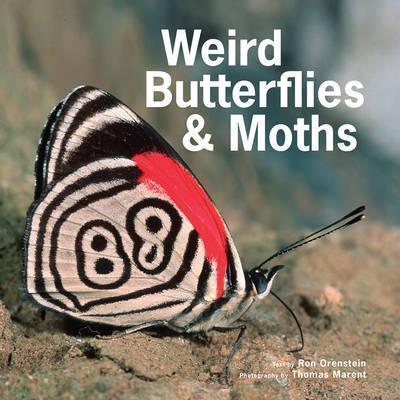 Weird Butterflies & Moths - Ronald Orenstein