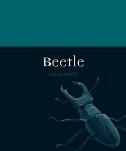 Beetle - Adam Dodd