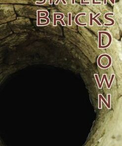 Sixteen Bricks Doiwn - Dennis Hamley