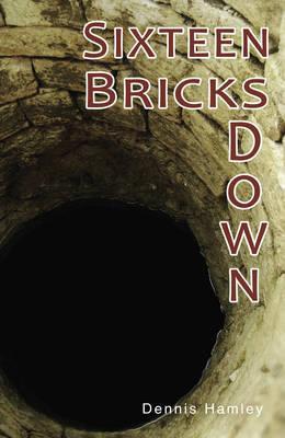 Sixteen Bricks Doiwn - Dennis Hamley