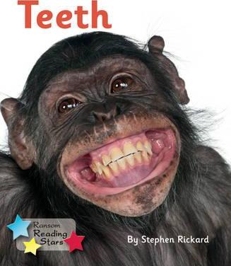 Teeth - Stephen Rickard
