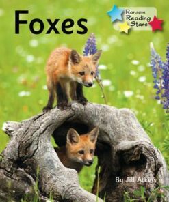 Foxes - Jill Atkins