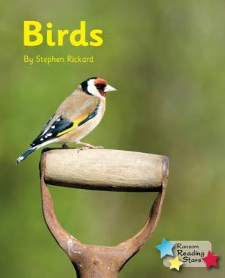 Birds 3 Birds - Stephen Rickard