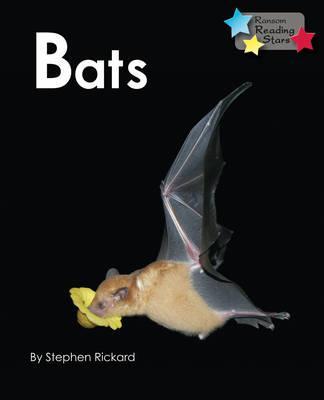 Bats 5 Bats - Stephen Rickard