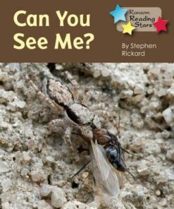 Can You See Me - Stephen Rickard