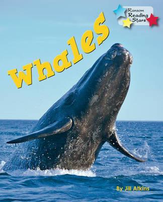 Whales - Jill Atkins