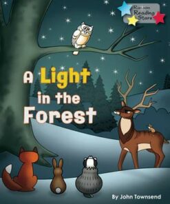 A Light in the Forest - John Townsend