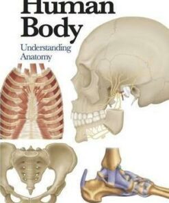 Human Body: Understanding Anatomy - Jane de Burgh