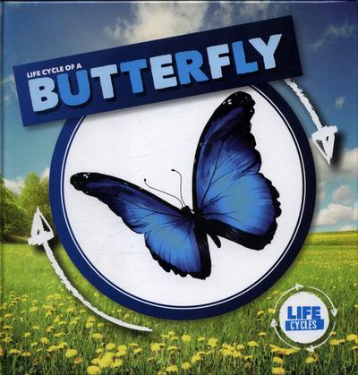 Life Cycle of a Butterfly - Kirsty Holmes