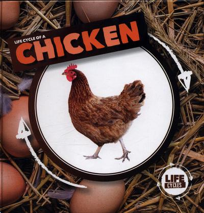 Life Cycle of a Chicken - Kirsty Holmes