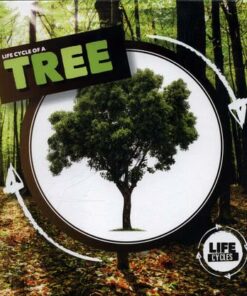 Life Cycle of a Tree - Kirsty Holmes