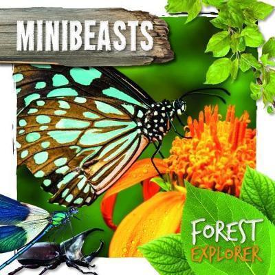 Minibeasts - Robin Twiddy