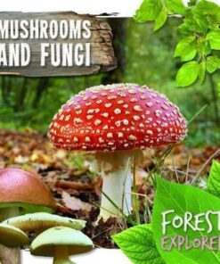 Mushrooms & Fungi - Robin Twiddy