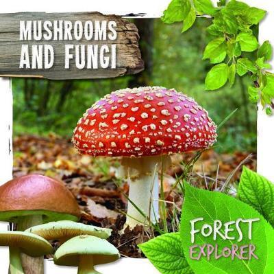Mushrooms & Fungi - Robin Twiddy