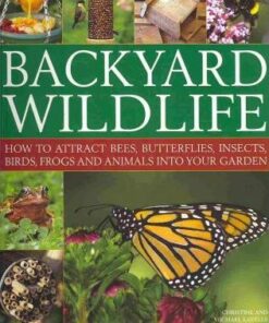 Backyard Wildlife - Christine Lavelle
