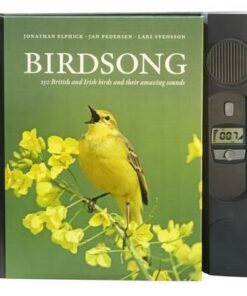 Birdsong - Jonathan Elphick