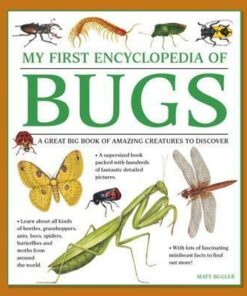 My First Encyclopedia of Bugs (giant Size) -