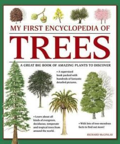 My First Encyclopedia of Trees (giant Size) - Richard McGinlay