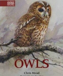 Owls - Chris Mead