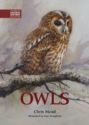 Owls 1 Owls - Chris Mead