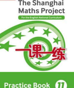 The Shanghai Maths Project Practice Book Year 11: For the English National Curriculum (Shanghai Maths) - Lianghuo Fan - 9780008144722
