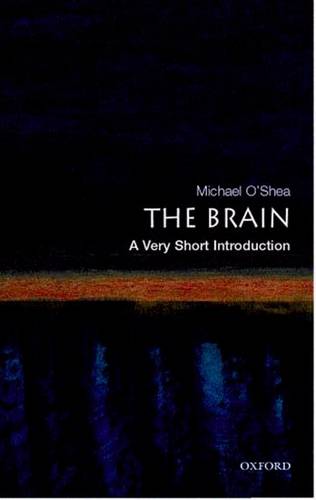The Brain: A Very Short Introduction - Michael O'Shea - 9780192853929