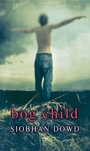 Rollercoasters: Bog Child - Siobhan Dowd - 9780198328919