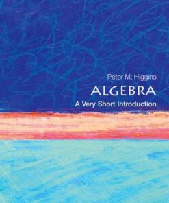 Algebra: A Very Short Introduction - Peter M. Higgins - 9780198732822
