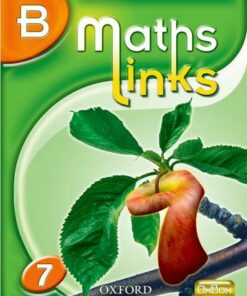 MathsLinks: 1: Y7 Students' Book B - Ray Allan - 9780199152803
