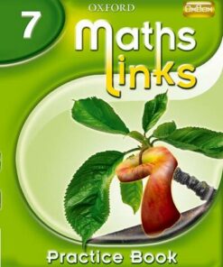 MathsLinks: 1: Y7 Practice Book - Ray Allan - 9780199152827