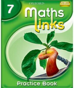 MathsLinks: 1: Y7 Practice Book Pack of 15 - Ray Allan - 9780199154081