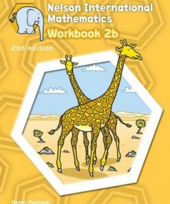 Nelson International Mathematics Workbook 2b - Karen Morrison - 9781408518953