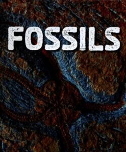 Fossils - Ava Sawyer - 9781474760164