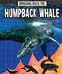 Humpback Whale: Bringing Back The - Paula Smith - 9780778749387