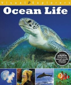 Visual Explorers: Ocean Life - Paul Calver - 9781445168173