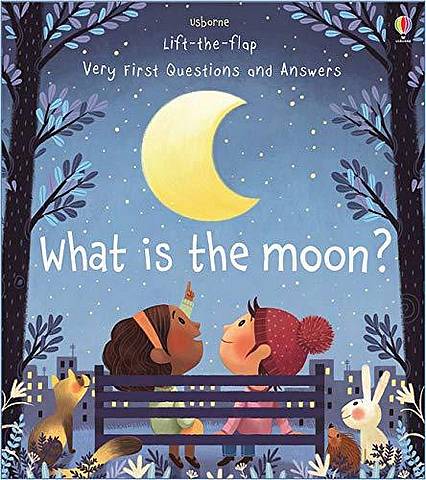 What is the Moon? - Katie Daynes - 9781474948210