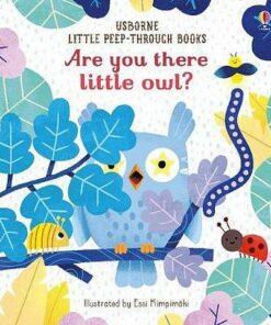 Are You There Little Owl? - Sam Taplin - 9781474966863