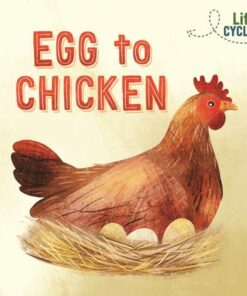 Life Cycles: Egg to Chicken - Rachel Tonkin - 9781526310255