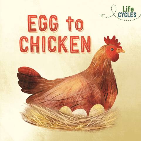Life Cycles: Egg to Chicken - Rachel Tonkin - 9781526310255