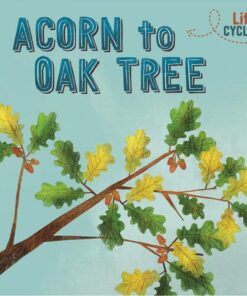 Life Cycles: Acorn to Oak Tree - Rachel Tonkin - 9781526310279