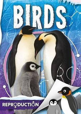 Birds - Emilie Dufresne - 9781786376749