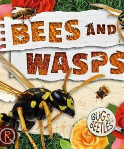 Bees and Wasps - John Wood - 9781786377203